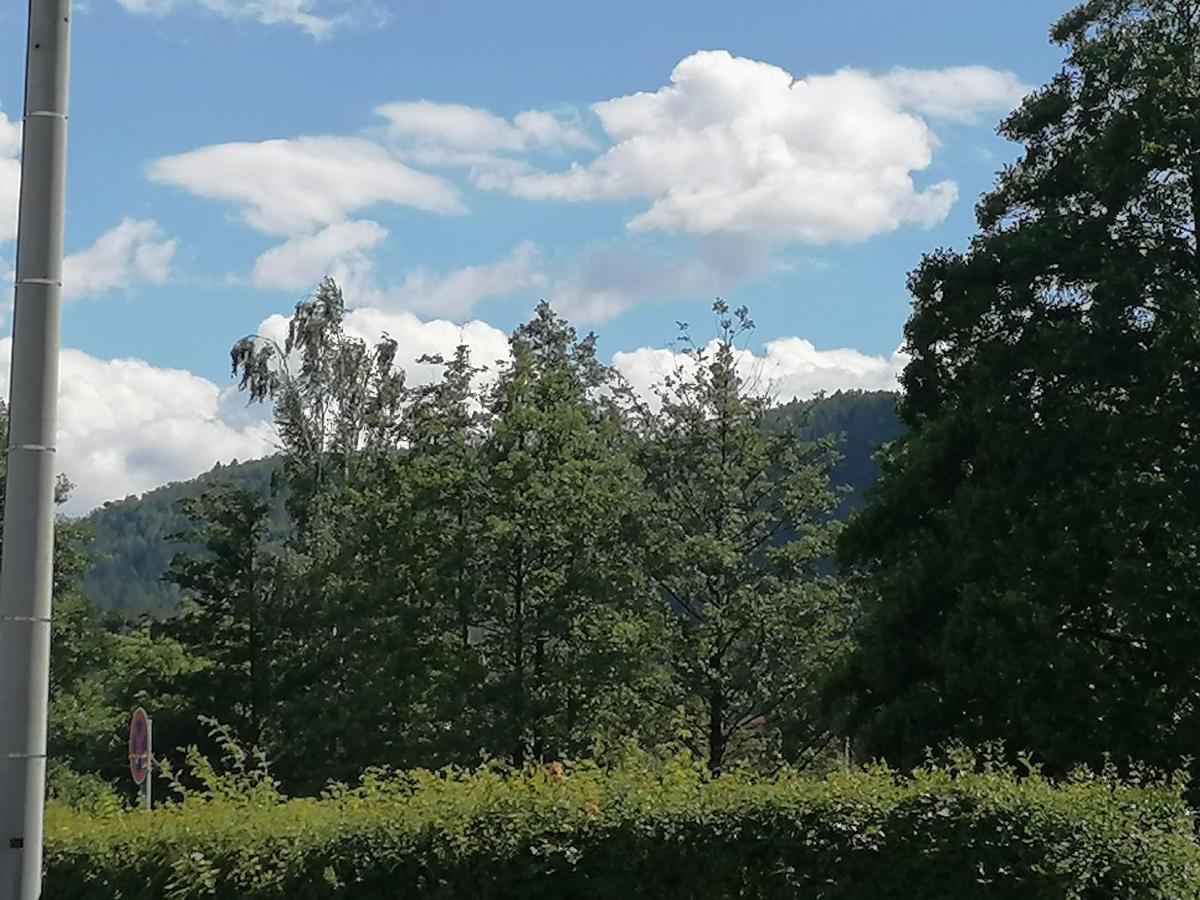 Toepferblick Διαμέρισμα Olbersdorf Εξωτερικό φωτογραφία
