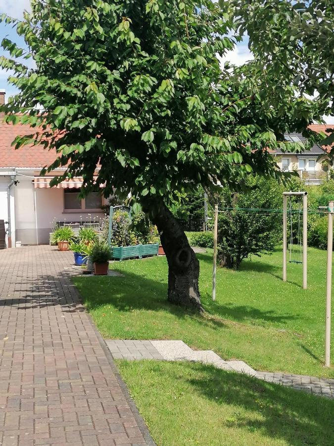 Toepferblick Διαμέρισμα Olbersdorf Εξωτερικό φωτογραφία